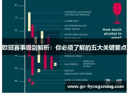 欧冠赛事级别解析:你必须了解的五大关键要点 欧冠赛事级别解析:你必须了解的五大关键要点