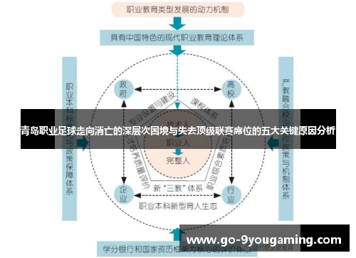 青岛职业足球走向消亡的深层次困境与失去顶级联赛席位的五大关键原因分析